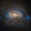 Active Galaxy NGC 1068